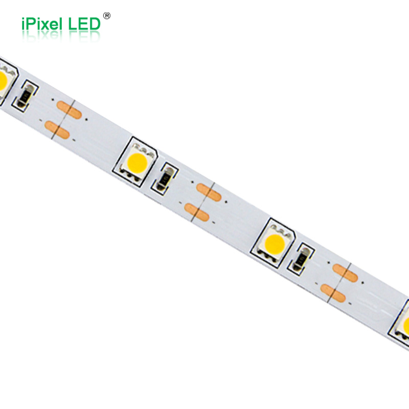 SMD5050 High Output Single Color Flexible LED Strip Series