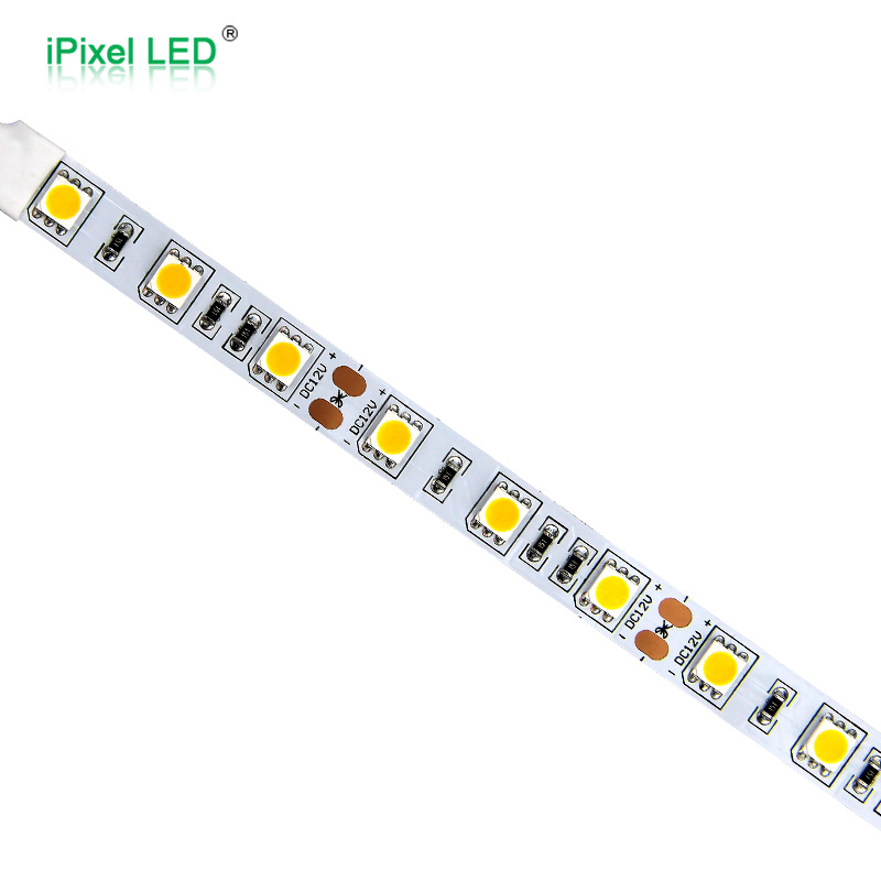 SMD5050 High Output Single Color Flexible LED Strip Series