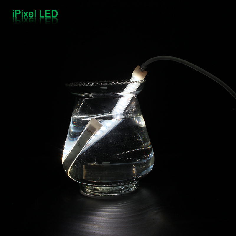 IP67Pro Constant current SMD 2835 LED Strip 120LEDs/m DC24V